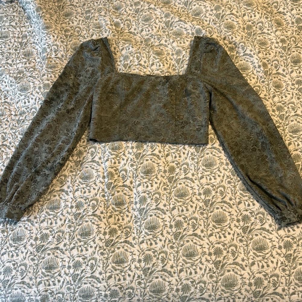 Cider Gray Fitted Crop Blouse